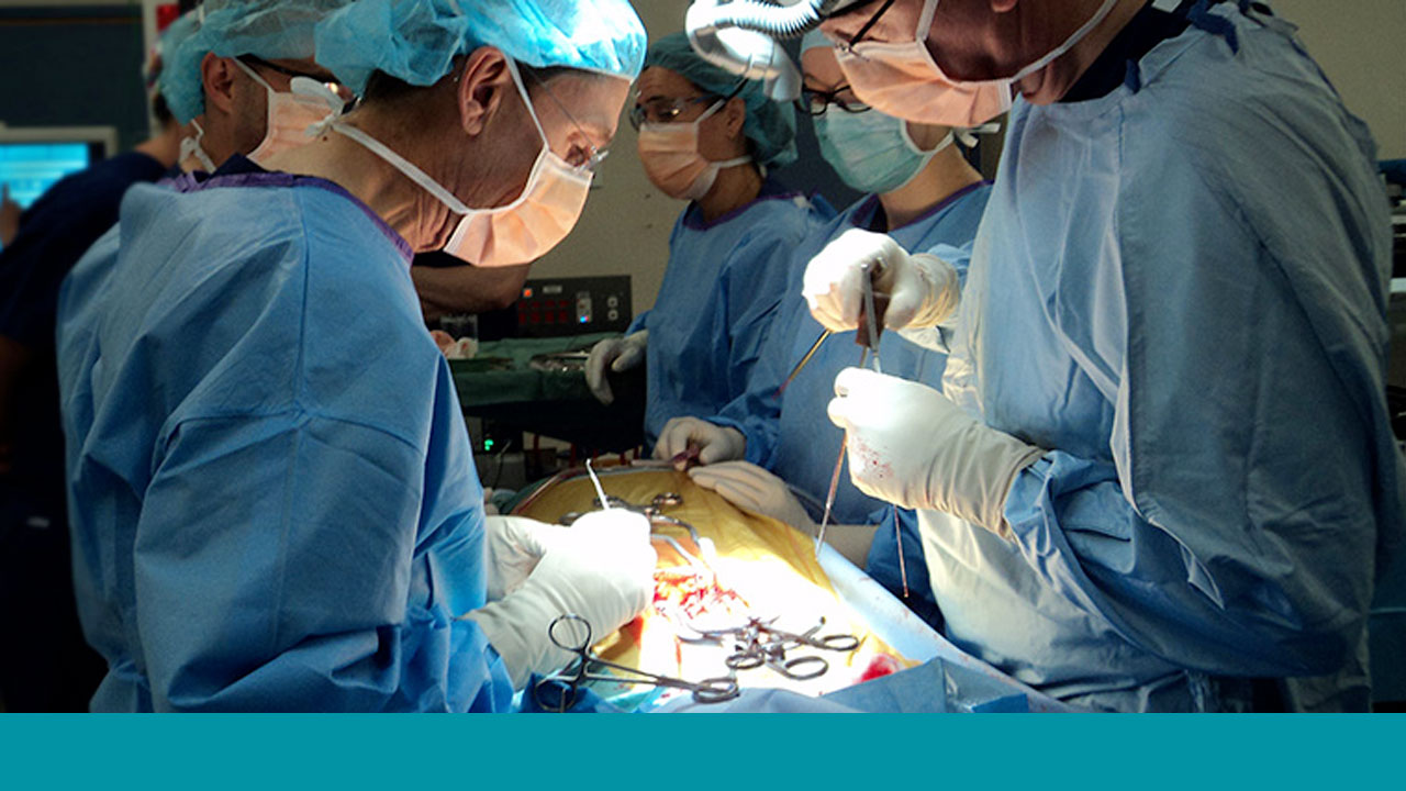 Image for Patient Blood Management: Perioperative